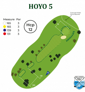 hoyo 5