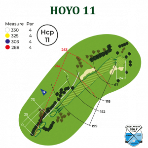 hoyo 11