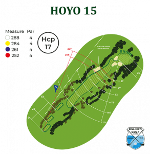 hoyo 15