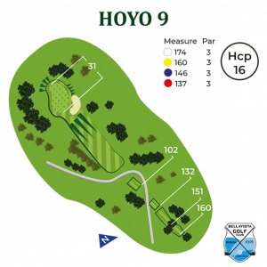 hoyo 9